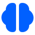 Brain_solid Brain_solid